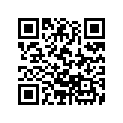 68325-Z11-000 RUBBER(LOWER)