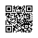 68325-Z26-E80 RUBBER(LOWER)