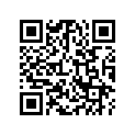 68325-ZC6-010 RUBBER(LOWER)