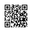 68326-Z15-B70 RUBBER,FR.(LOWER)