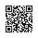 68364-43411-538 