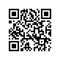 6840286 DIRECTIONALLAMP,FLAT,S