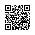 689-11631-00-95 Поршень