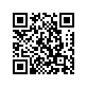 689-11636-00-00 Поршень