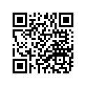 689-82531-02-00 WIRE,LEAD