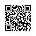 69010054000 BEAR.DIST. RING 30,3X37,8X4,65