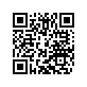 69011067000 KEY WITH TRANSPONDER