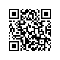 69011071000 CONTROLLER F. INSTRUMENTS