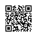 69201376 TERMINAL(28MM)PIN,#1416