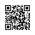 696-45211-00-4D EXTENSION