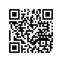 696-45211-01-4D EXTENSION