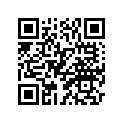 6E9-81953-00-00 STAY, RELAY