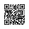 7027384 WIREASSY