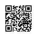 704-48205-P1-00 Ручка управления (70448205P100)