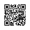 7042293 SHOCK-IFS