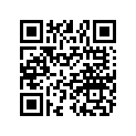 7043055 SHOCK-RR,IRS,MV