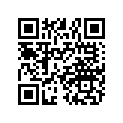 7043140 SHOCK-RR,IRS