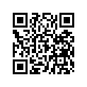7043951 SHOCK-RR,IRS