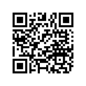7044209-630 SPRING 140#, 12 IN, LIME SQUEEZ