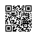 704900273 Decal.prot.ga. *decal-prot.lh Ds Baja 65