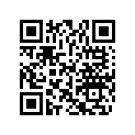 704900513 Decal.lateral  *decal-side Ds Baja 650