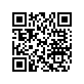 704900600 Decalque 400   *decal 400 Camo Std 4 X 4