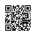 704900665 Decal.arr.ga.  *rear Decal Lh Ds Baja 65