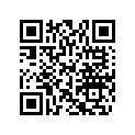 704900917 WARNING DECAL ASS'Y