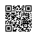 704901065 Decalque Gauche*lh.decal Red