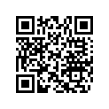 704901102 Decalque Droit *rh.decal Std, Camo B-005