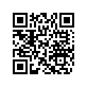 704901151 RH DS450 DECAL
