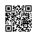 704901537 LH SIDE DECAL