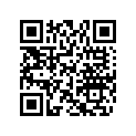 704901539 LH SIDE DECAL