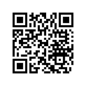 704901565 CONSOLE DECAL, 500 MAX XTP