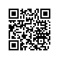 704902211 CVT Decal