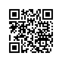 704902229 RH SIDE DECAL, XT