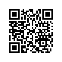 704902261 RH PANEL DECAL