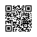704902389 CAN-AM Decal