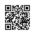 704902617 DECAL, CAN-AM