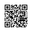 704903051 RH DECAL, MAX XTP