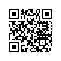 704903062 LH Decal, X