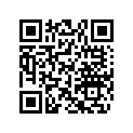 704903075 LH Side Decal, Bottom X