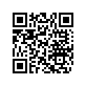 704903079 LH DECAL, XC