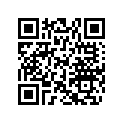 704903082 RH Front Decal