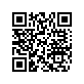 704903911 BLACK 