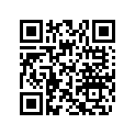 704904245 TIRE DECAL, ENGLISH, INTERNATIONAL