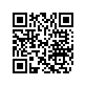 704904272 Decal X (Green)