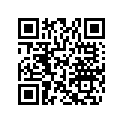 704904535 SPACER DECAL