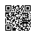 704904825 Spyder F3S Decal Magnesium