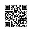 704904991 CAN-AM Decal